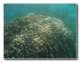 Hapuna-Beach-State-Park-Kamuela-Kohala-Big-Island-Hawaii-051