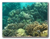 Hapuna-Beach-State-Park-Kamuela-Kohala-Big-Island-Hawaii-052