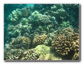 Hapuna-Beach-State-Park-Kamuela-Kohala-Big-Island-Hawaii-053