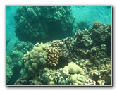 Hapuna-Beach-State-Park-Kamuela-Kohala-Big-Island-Hawaii-057