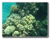 Hapuna-Beach-State-Park-Kamuela-Kohala-Big-Island-Hawaii-058