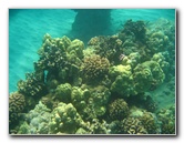 Hapuna-Beach-State-Park-Kamuela-Kohala-Big-Island-Hawaii-059