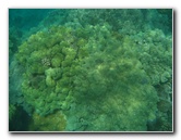 Hapuna-Beach-State-Park-Kamuela-Kohala-Big-Island-Hawaii-064