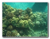 Hapuna-Beach-State-Park-Kamuela-Kohala-Big-Island-Hawaii-065