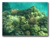 Hapuna-Beach-State-Park-Kamuela-Kohala-Big-Island-Hawaii-066