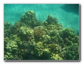 Hapuna-Beach-State-Park-Kamuela-Kohala-Big-Island-Hawaii-068