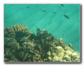 Hapuna-Beach-State-Park-Kamuela-Kohala-Big-Island-Hawaii-069