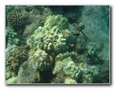 Hapuna-Beach-State-Park-Kamuela-Kohala-Big-Island-Hawaii-074