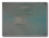 Hapuna-Beach-State-Park-Kamuela-Kohala-Big-Island-Hawaii-077