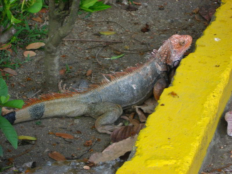 Hard-Rock-Resort-and-Casino-Jaco-Beach-Costa-Rica-030