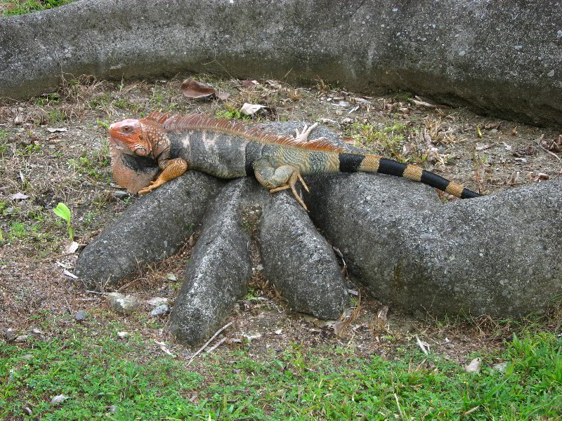 Hard-Rock-Resort-and-Casino-Jaco-Beach-Costa-Rica-031