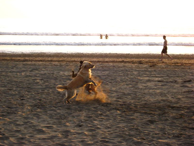 Hard-Rock-Resort-and-Casino-Jaco-Beach-Costa-Rica-042