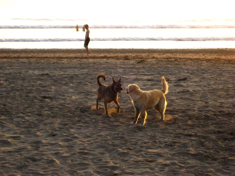 Hard-Rock-Resort-and-Casino-Jaco-Beach-Costa-Rica-043