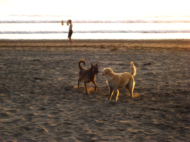 Hard-Rock-Resort-and-Casino-Jaco-Beach-Costa-Rica-043