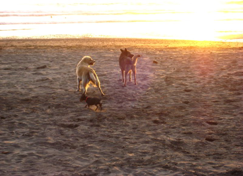 Hard-Rock-Resort-and-Casino-Jaco-Beach-Costa-Rica-045
