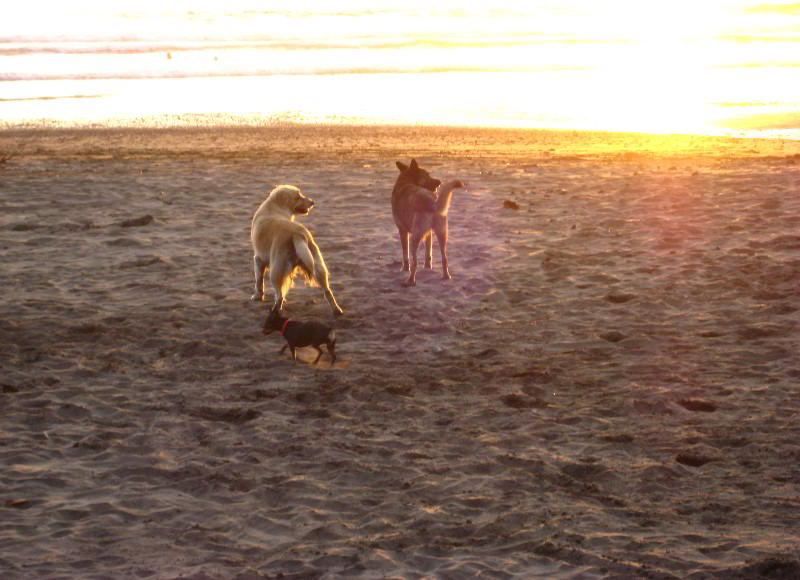 Hard-Rock-Resort-and-Casino-Jaco-Beach-Costa-Rica-045