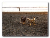 Hard-Rock-Resort-and-Casino-Jaco-Beach-Costa-Rica-043