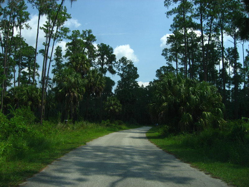 Hillsborough-River-State-Park-Thonotosassa-FL-003