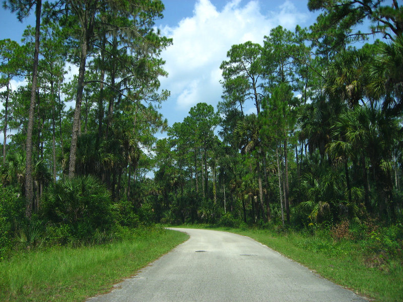 Hillsborough-River-State-Park-Thonotosassa-FL-004