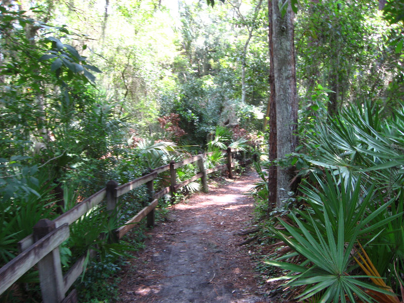 Hillsborough-River-State-Park-Thonotosassa-FL-005