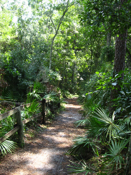 Hillsborough-River-State-Park-Thonotosassa-FL-006