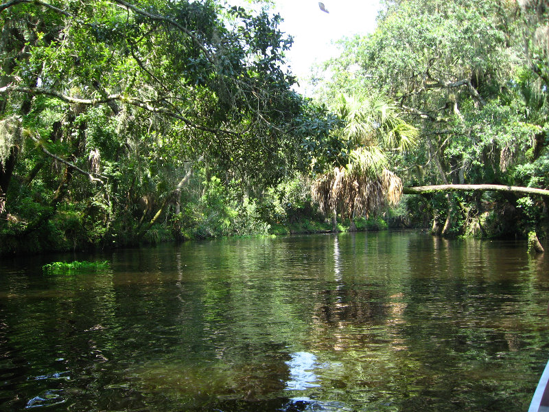 Hillsborough-River-State-Park-Thonotosassa-FL-010