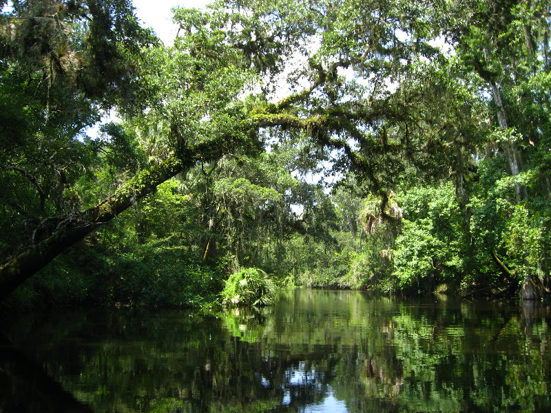 Hillsborough-River-State-Park-Thonotosassa-FL-011