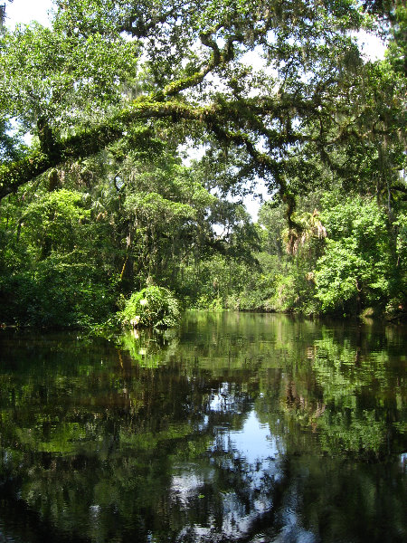 Hillsborough-River-State-Park-Thonotosassa-FL-012