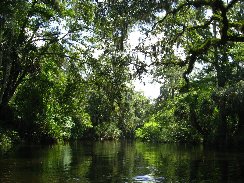 Hillsborough-River-State-Park-Thonotosassa-FL-013