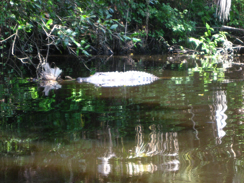 Hillsborough-River-State-Park-Thonotosassa-FL-018