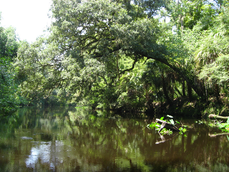 Hillsborough-River-State-Park-Thonotosassa-FL-019