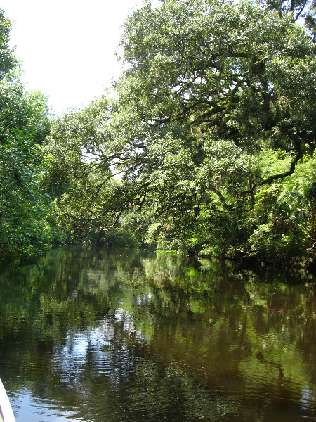 Hillsborough-River-State-Park-Thonotosassa-FL-020