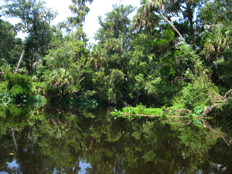 Hillsborough-River-State-Park-Thonotosassa-FL-021