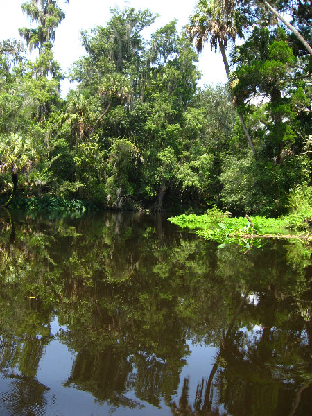 Hillsborough-River-State-Park-Thonotosassa-FL-022