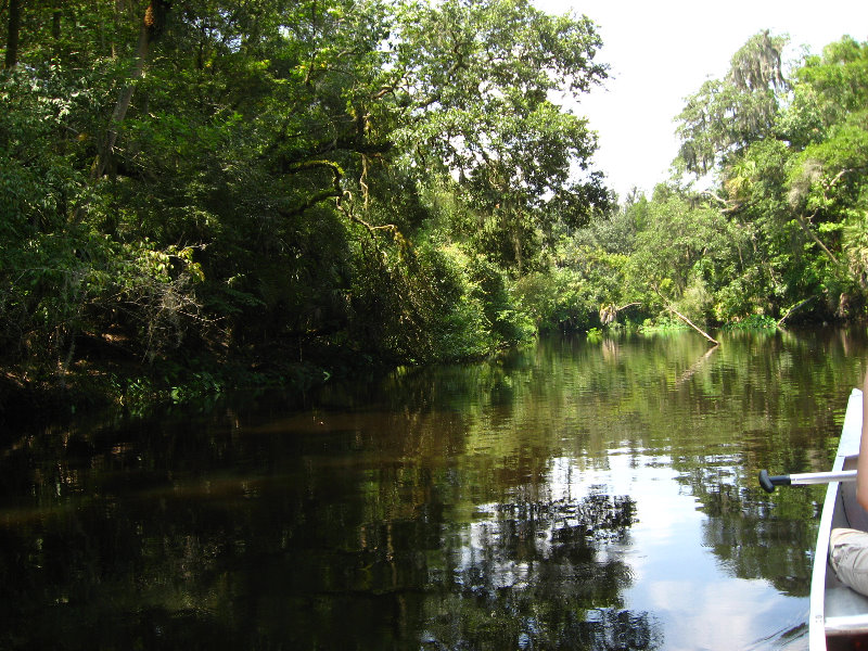 Hillsborough-River-State-Park-Thonotosassa-FL-025