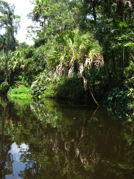 Hillsborough-River-State-Park-Thonotosassa-FL-026