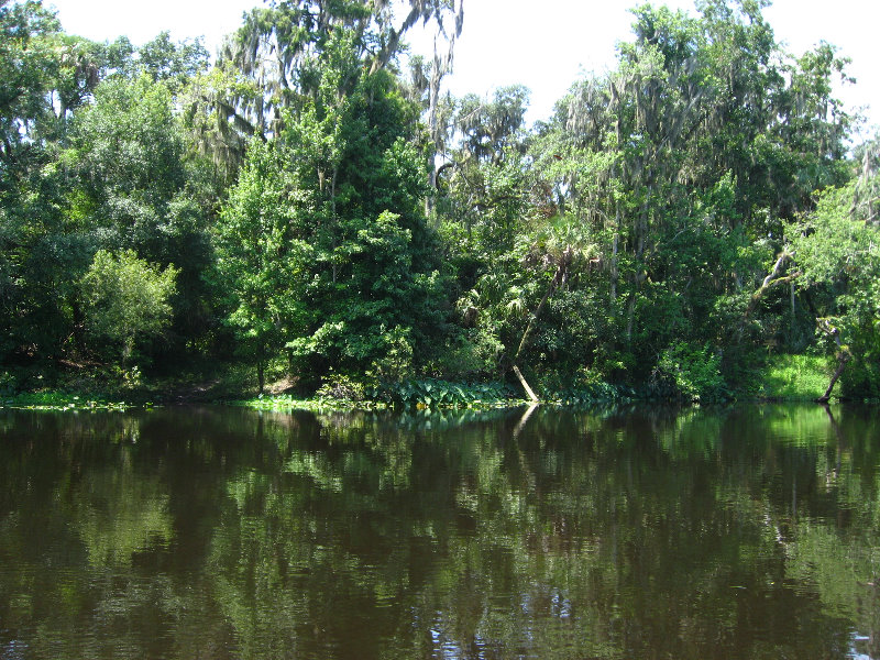 Hillsborough-River-State-Park-Thonotosassa-FL-029