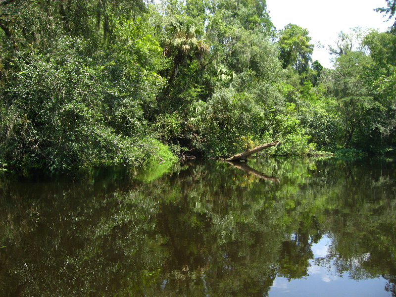 Hillsborough-River-State-Park-Thonotosassa-FL-032