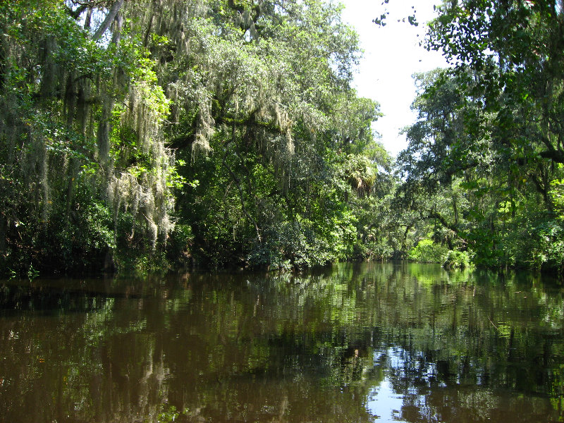 Hillsborough-River-State-Park-Thonotosassa-FL-034