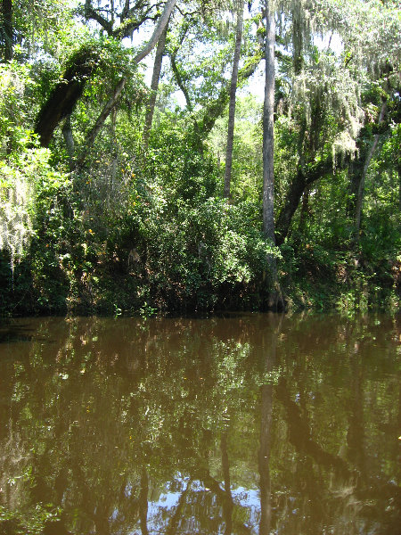 Hillsborough-River-State-Park-Thonotosassa-FL-035