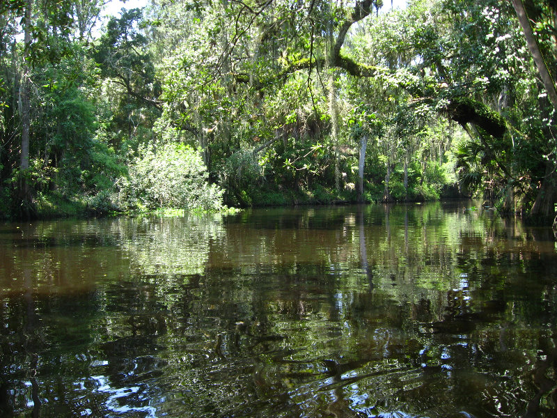 Hillsborough-River-State-Park-Thonotosassa-FL-043