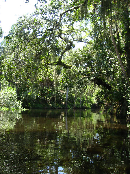 Hillsborough-River-State-Park-Thonotosassa-FL-044
