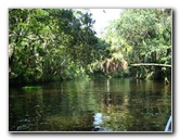 Hillsborough-River-State-Park-Thonotosassa-FL-010