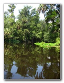 Hillsborough-River-State-Park-Thonotosassa-FL-022