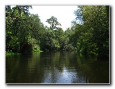 Hillsborough-River-State-Park-Thonotosassa-FL-028
