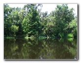 Hillsborough-River-State-Park-Thonotosassa-FL-029