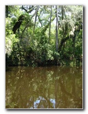 Hillsborough-River-State-Park-Thonotosassa-FL-035