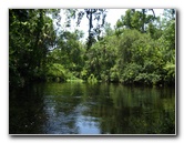 Hillsborough-River-State-Park-Thonotosassa-FL-036