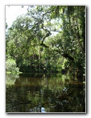 Hillsborough-River-State-Park-Thonotosassa-FL-044