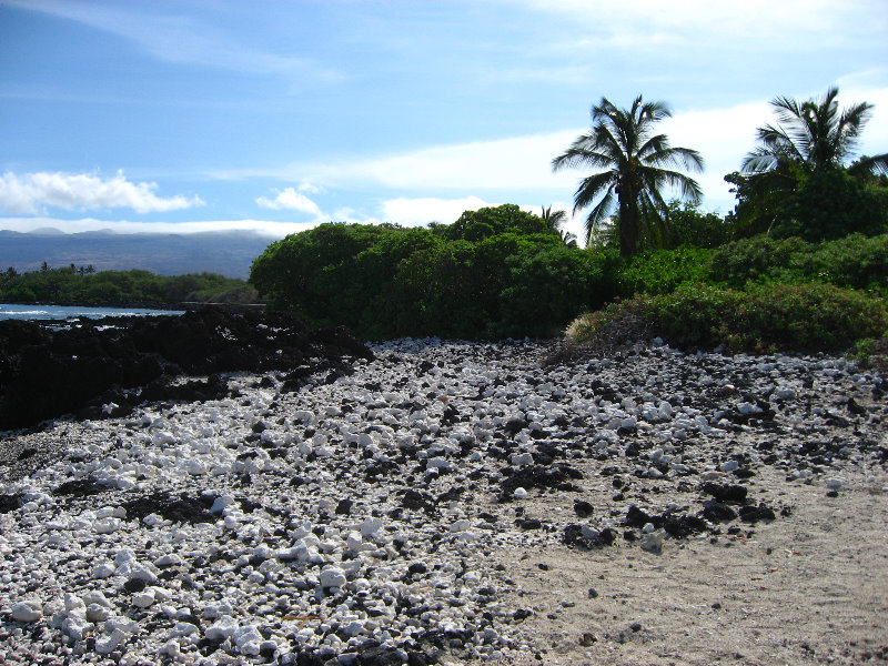 Holoholokai-Beach-Park-Kamuela-Kohala-Coast-Big-Island-Hawaii-013